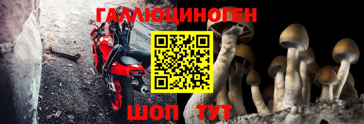 Галлюциногенные грибы MAGIC MUSHROOMS Санкт-Петербург